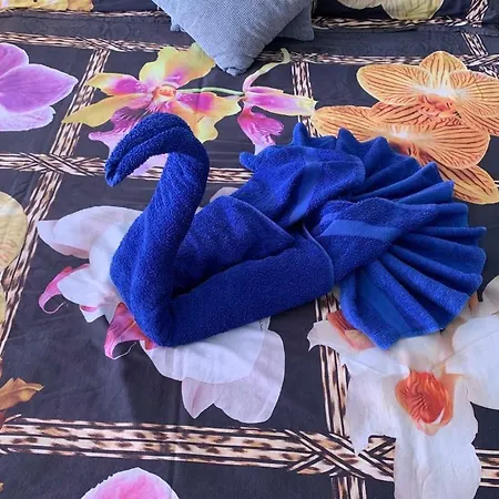 Daire Cristianos View